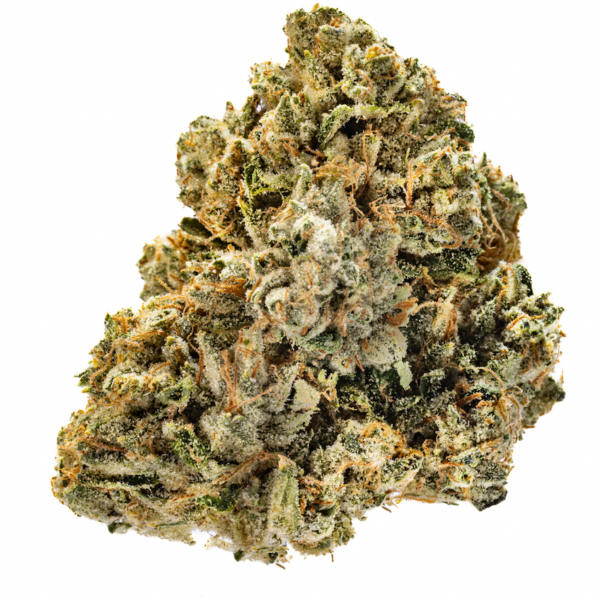 WCC OG
